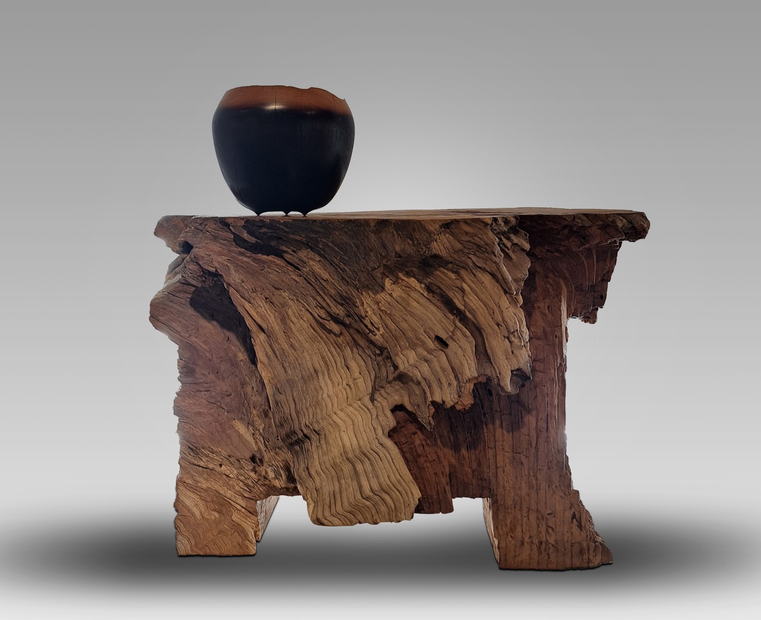 나무의 숨결   느티나무(신리마을 보호수, 300년), 40x70x50cm, 2024