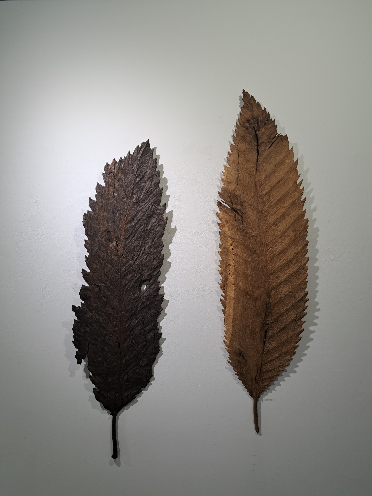 나무의 숨결   고재 참나무, 흑단 각135x40x2cm, 2024