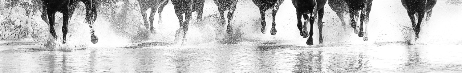 생명 - 인생    15 × 95cm, 인화지에 피그먼트 프린트, 2013 (2026년 제작)