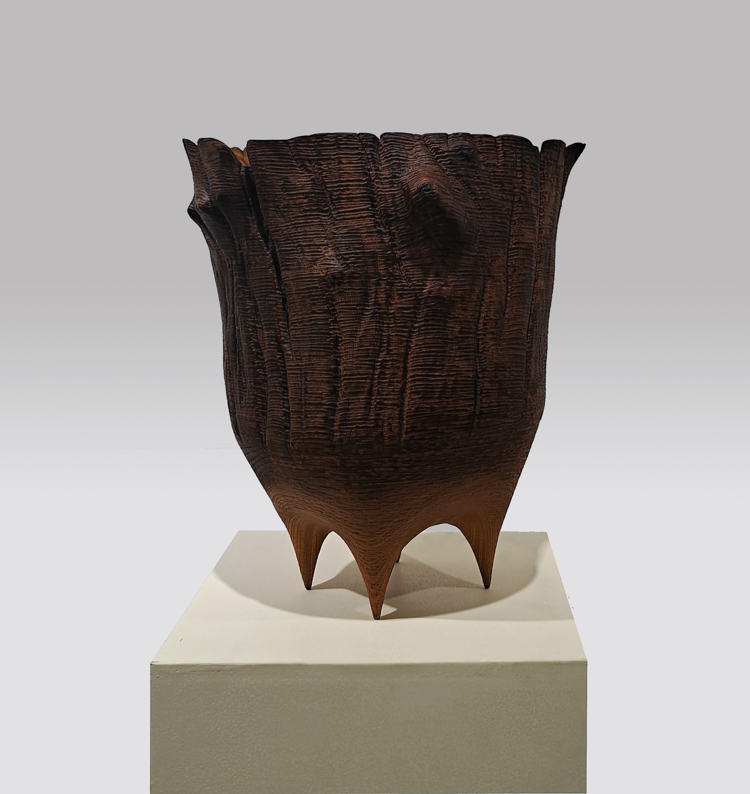 나무의 숨결   느티나무, 30x30x40cm, 2020