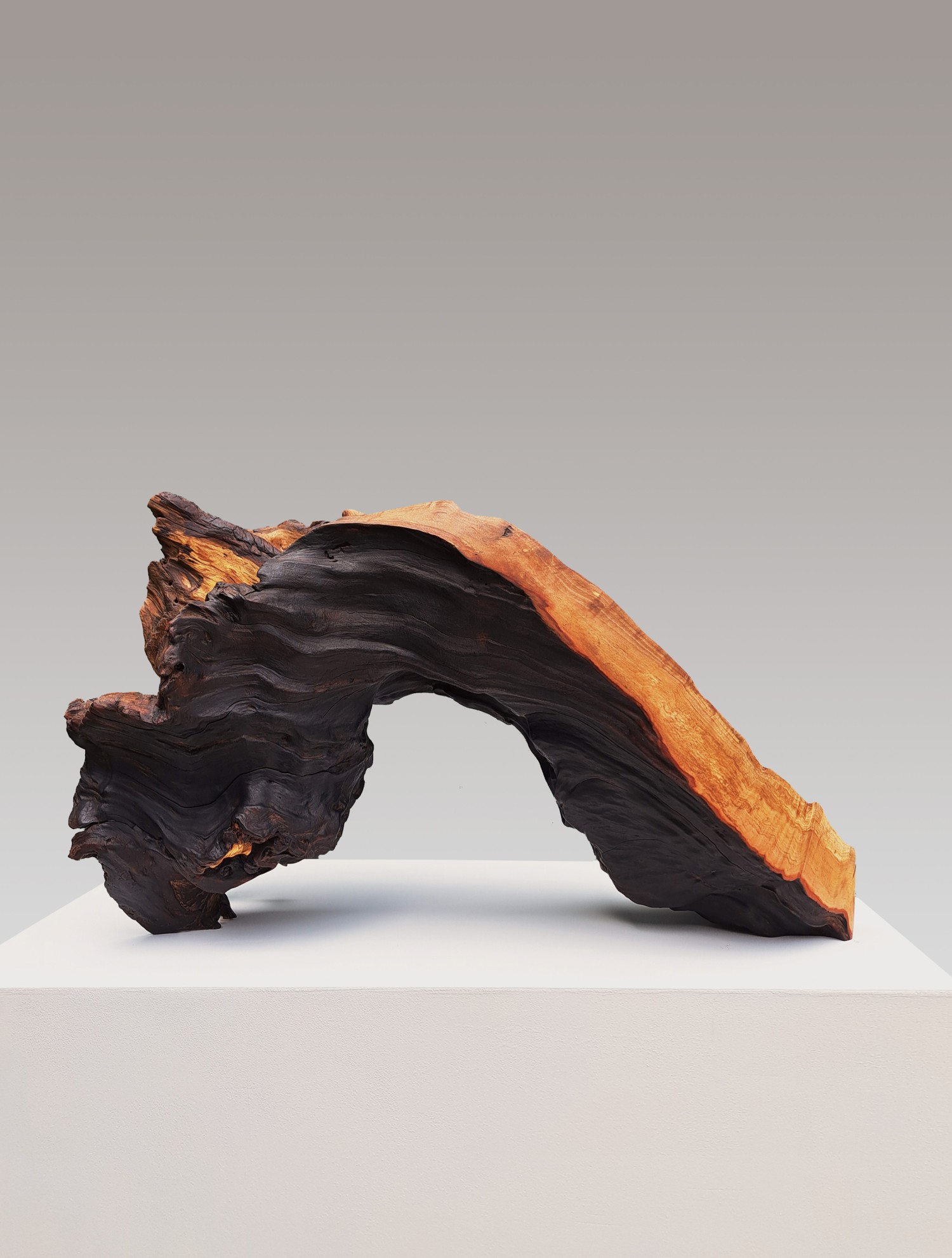 나무의 숨결   똘배나무(보호수, 500년), 25x70x37cm, 2025