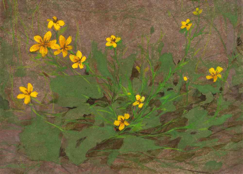 최미현_틈 사이로 피어난, 16.5x22.7cm, 장지에 채색, 2026