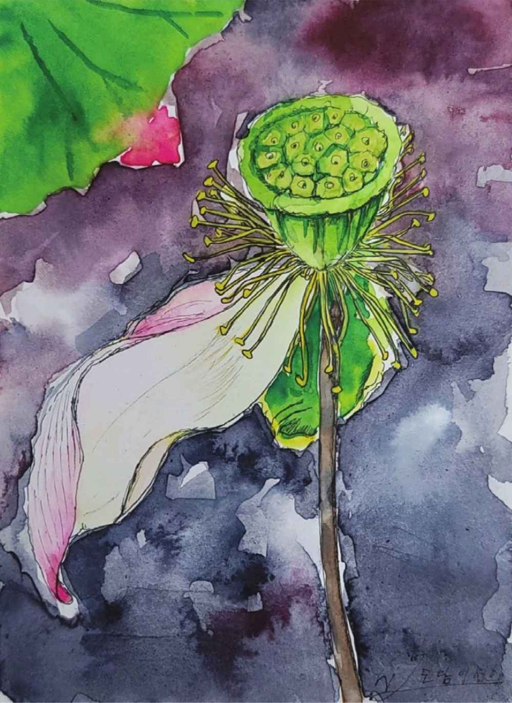 이정희, 향기, 28.0✕22.0cm, watercolor on paper, pen